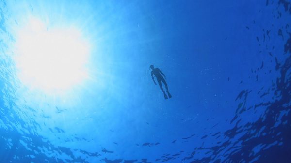 宇宙の子マサの「この星の奇跡つなぐ冒険」 - Adventures to Share Miracles for the Planet by Masa, child of Universe