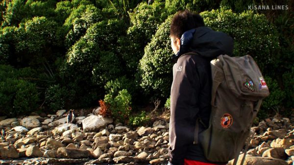 AOTEAROA 雲が生まれるところ（出演：下田昌克） - Land of the Clouds