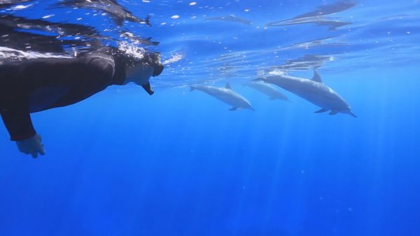 宇宙の子マサの「この星の奇跡つなぐ冒険」 - Adventures to Share Miracles for the Planet by Masa, child of Universe