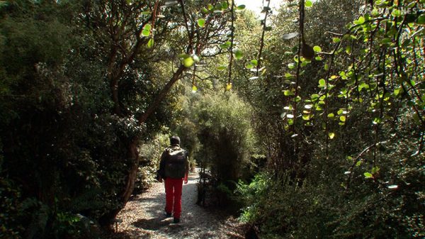 AOTEAROA 雲が生まれるところ（出演：下田昌克） - Land of the Clouds