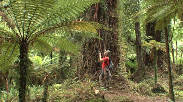 ７世代先の子どもたちへ（出演：山本太郎） - For the Children of Future Generations