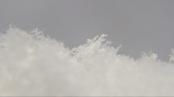 宇宙（そら）ごよみ - Cosmic Seasons