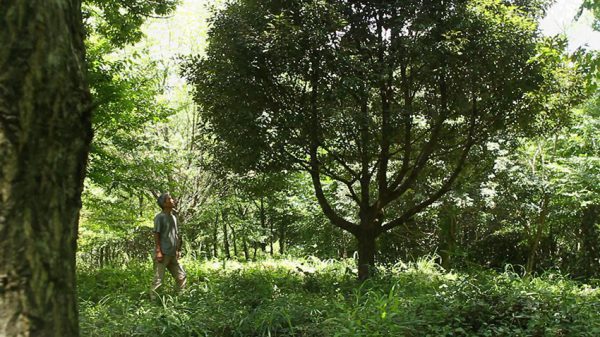 A day in KARUDERA（軽寺）（出演：正木高志）