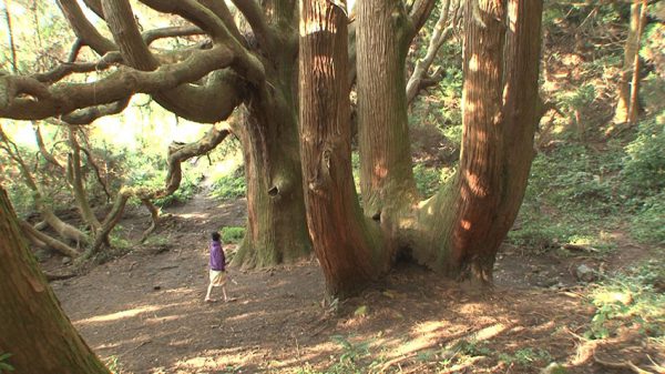 くうのお絵かき（出演：Fuuyanm）